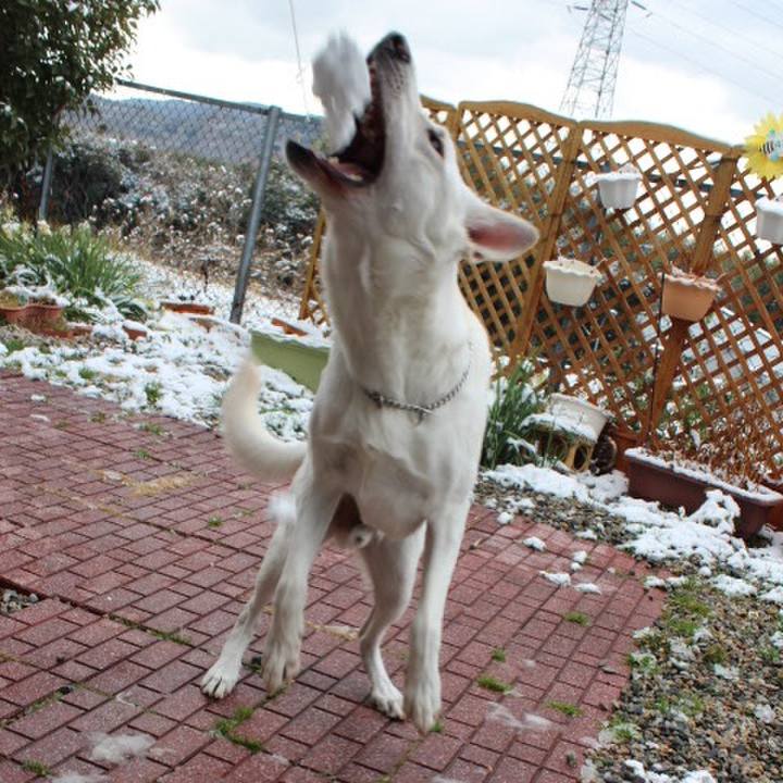 A6f387dc 117c 4376 8dbd f6066e675d2b 1564748439079