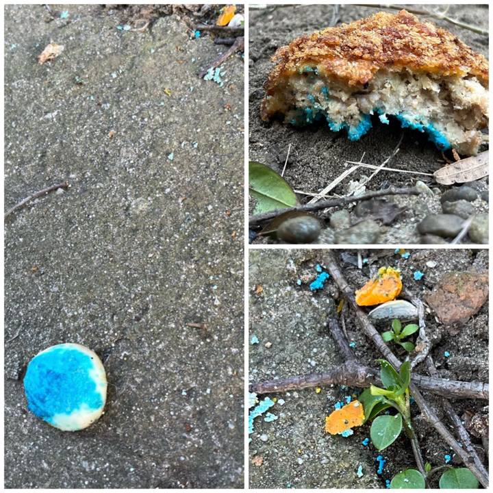 A6f38aa6 3492 4d6c 857e 2c3ebb5250ea 1676294502256