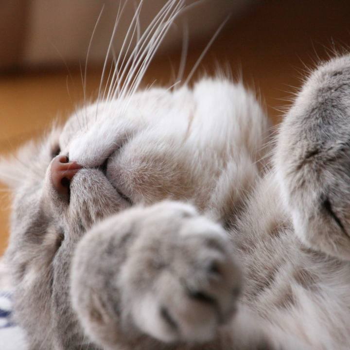 A6f398dc cd44 4373 a42f 91678ddd3947 1531556791118