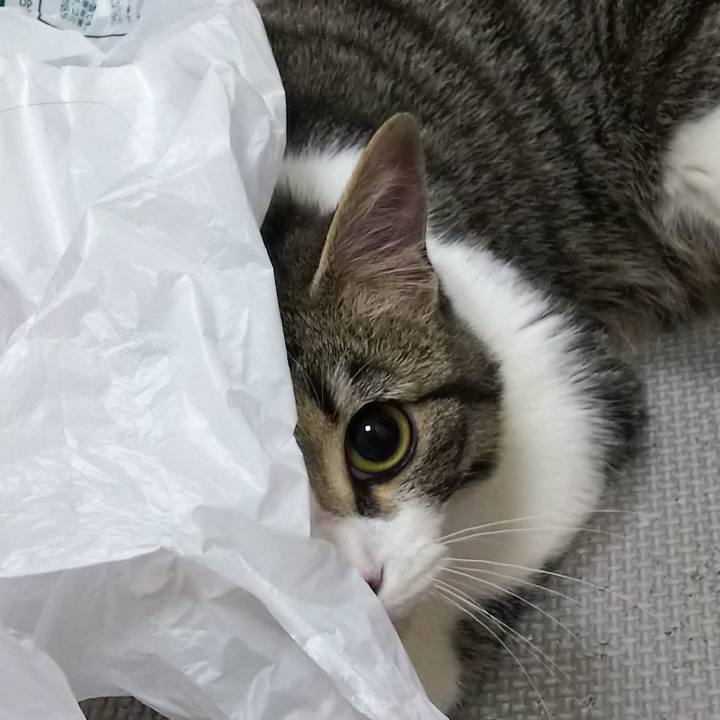 A6f3ac30 c5d1 47e5 9411 7c3b3a4ee9ff 1616587431357