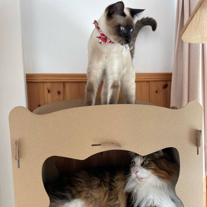 A6f3e6d9 015b 4404 9165 09897a193e88 1710550515763