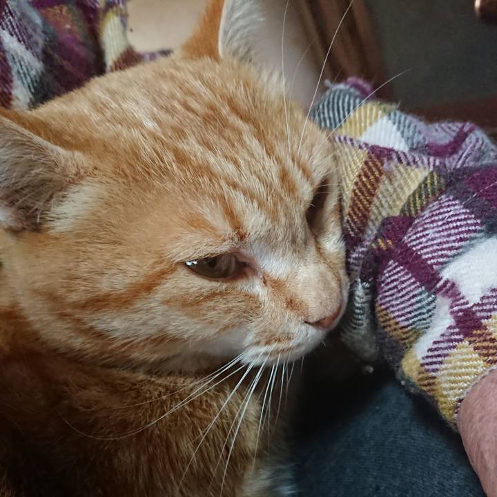 A6f3fa24 024c 4b7d b290 7ca2b09e21cc 1585952033073