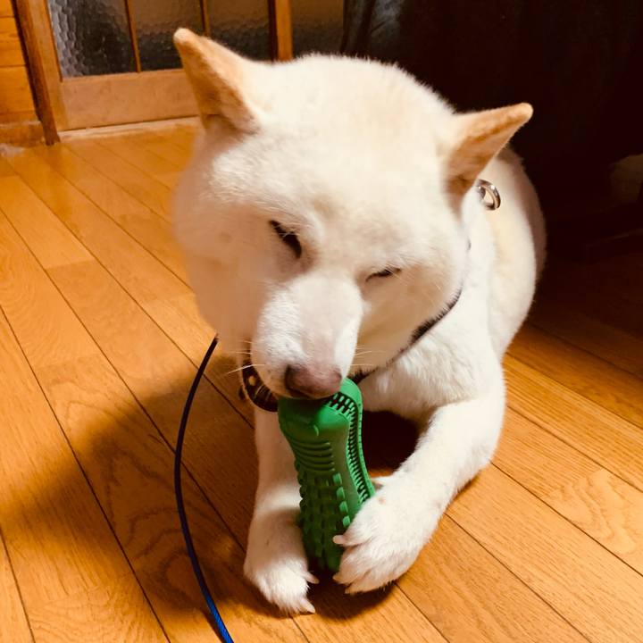 A6f41788 63e4 46ea a12d b7d9dd90a757 1641730397679