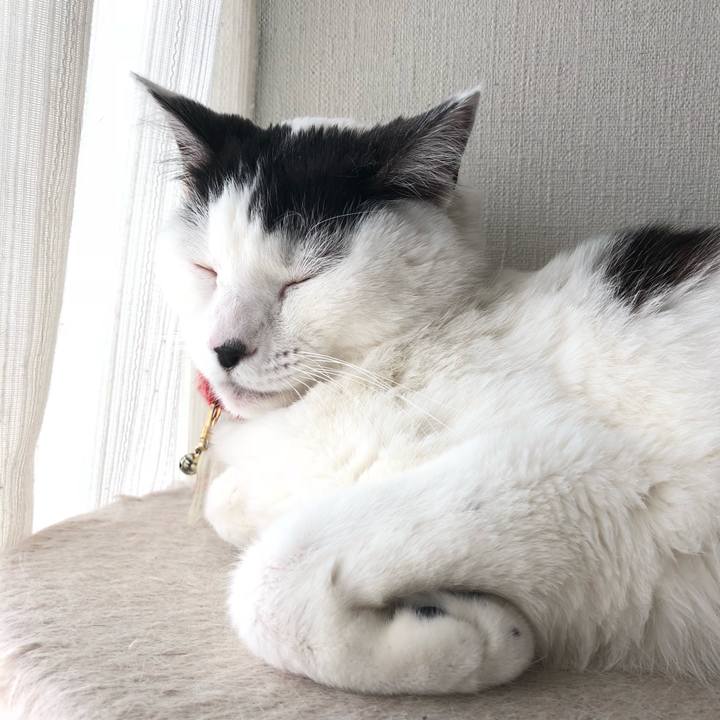 A6f42363 8d02 4375 b92a dc3955e3eaba 1525648680044