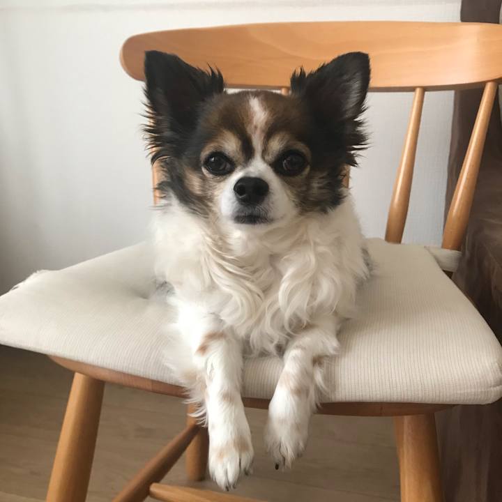 A6f446b7 c5f1 47a1 abbf 794a020e25bd 1679888473458