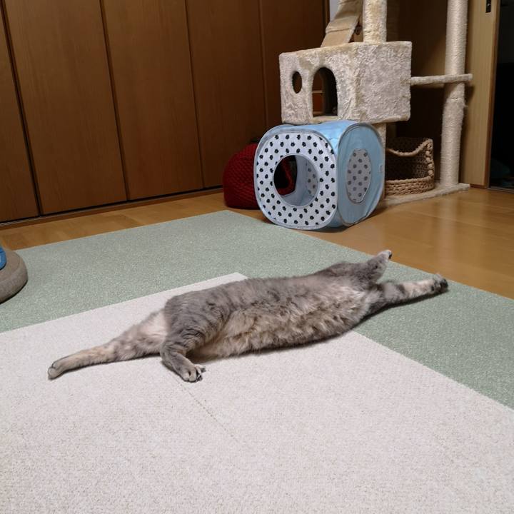 A6f45ae2 582e 472a 9693 228726a5842e 1595838348029