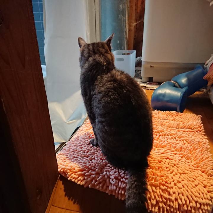 A6f46513 496c 426c b0b2 f6a69f61bf60 1595669269847