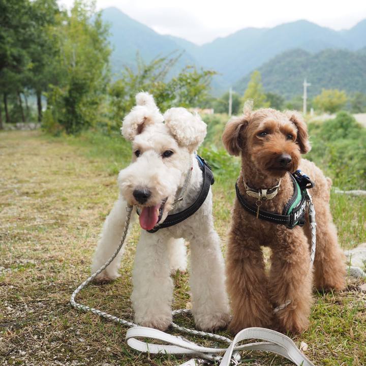 A6f4a1c0 7664 40bf a876 50ffffca56fb 1569646231922