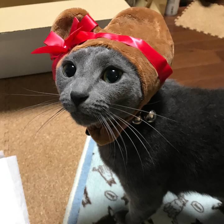 A6f4a2d2 08d5 41e0 92ed 652492a355d9 1515316218133