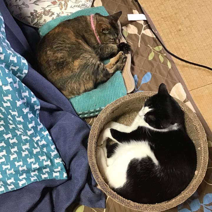 A6f4aa26 f3fe 4954 9575 57dc462104ef 1743922026412