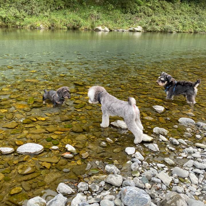 A6f4edaf 78e0 4e6a b0fe bcc43851cce3 1600753934607