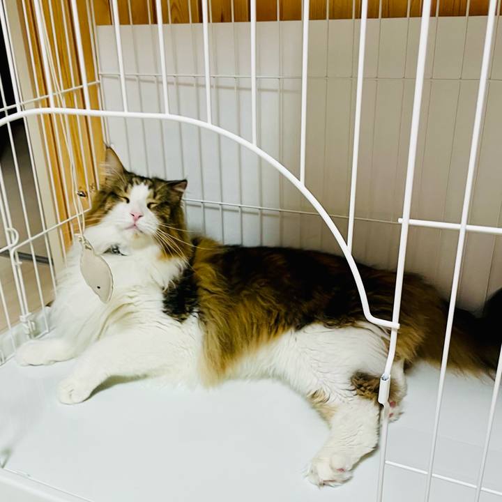 A6f4f727 0c07 4101 b10d 76aee14b0e66 1715111198118