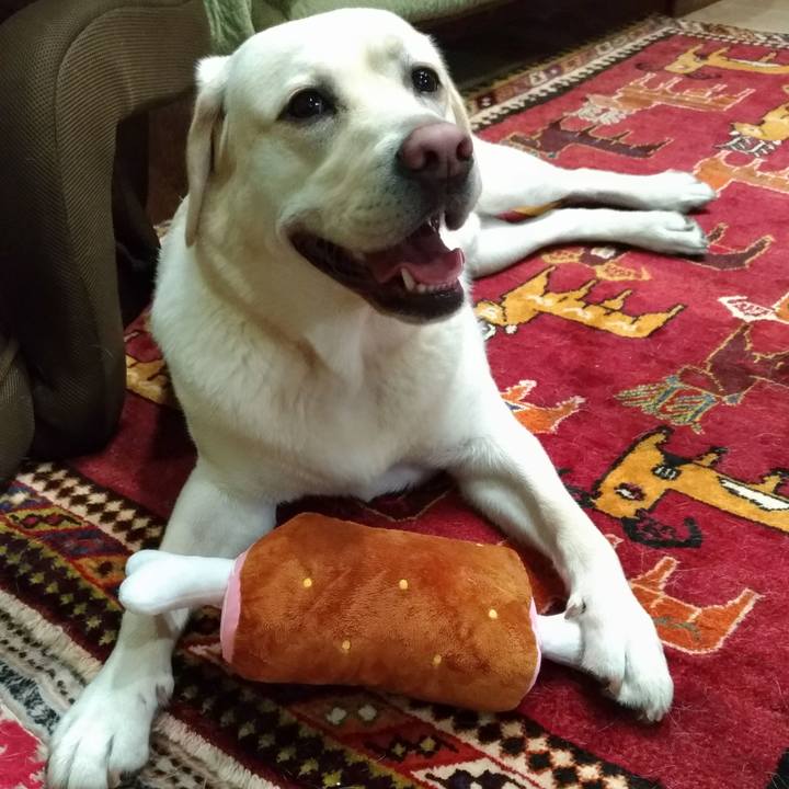 A6f4fb21 dee2 4eed 849c 99c8f849a209 1526579986361