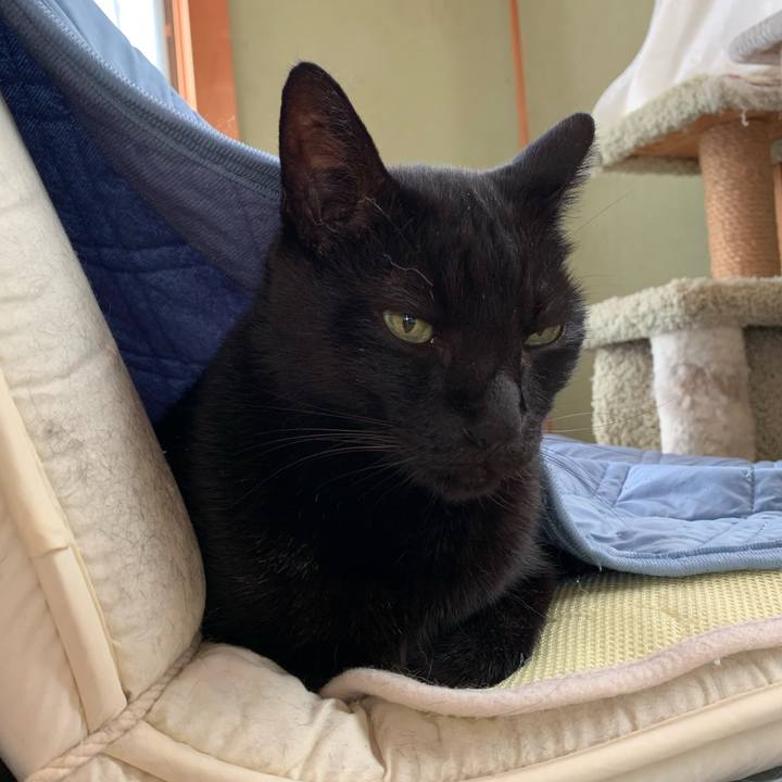 A6f5326a 112e 4906 8dd8 3c6e13aa2ac5 1571098717332