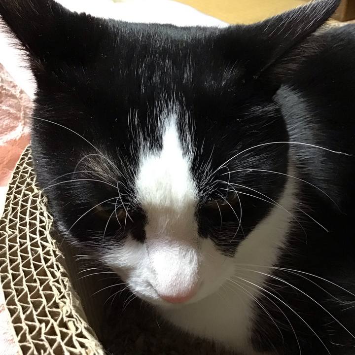 A6f544f8 fa13 47df 9074 b8fac4bbc173 1700733960822