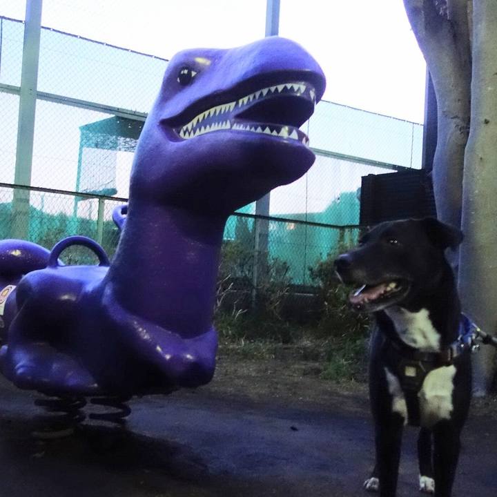 A6f546d5 5527 4481 9402 08c15dc788be 1650623917470