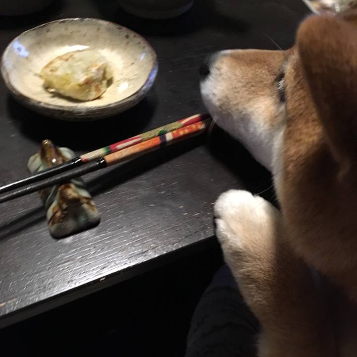 A6f59b4c 6fdc 4029 9fee 8354de104b78 1546177198838