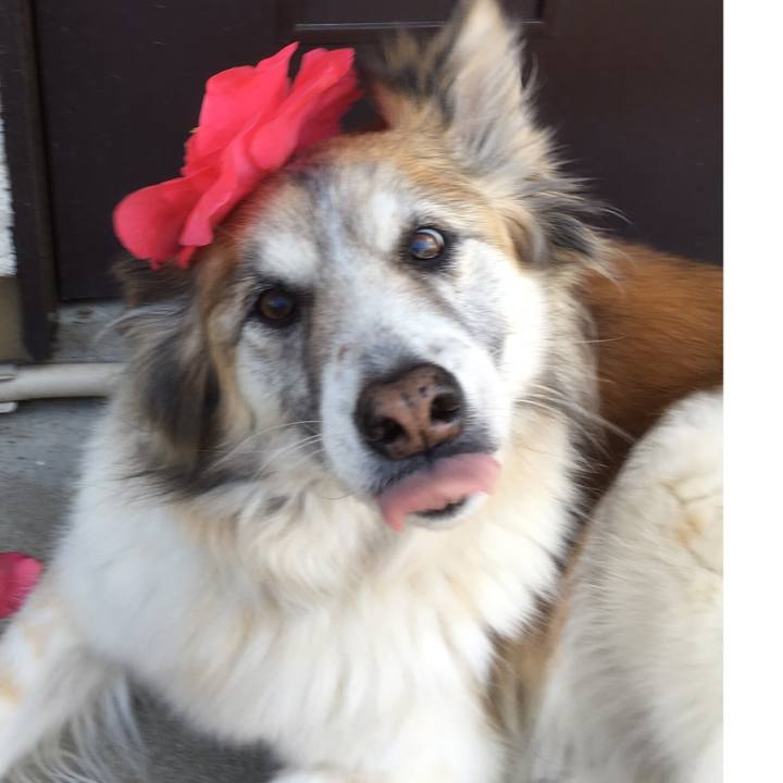 A6f5ab73 955e 46e8 a5b9 1a0a375a74ef 1572312508733