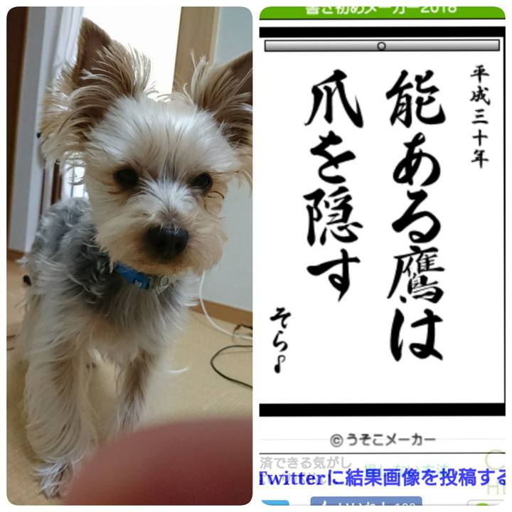 A6f5b04d d6f3 4380 bbc2 530e88821c98 1515279223235