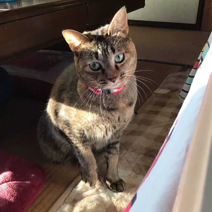 A6f5ff1d cbda 414a b502 e9e3a7a91e61 1604563017891