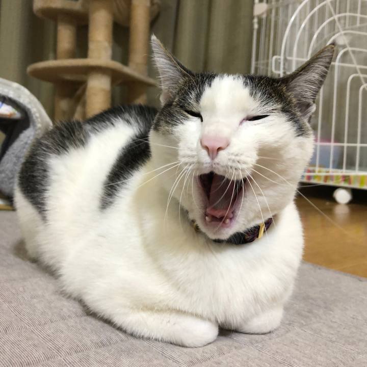 A6f63217 7f91 4d8c 8664 ecbf034c0aa2 1644500907231