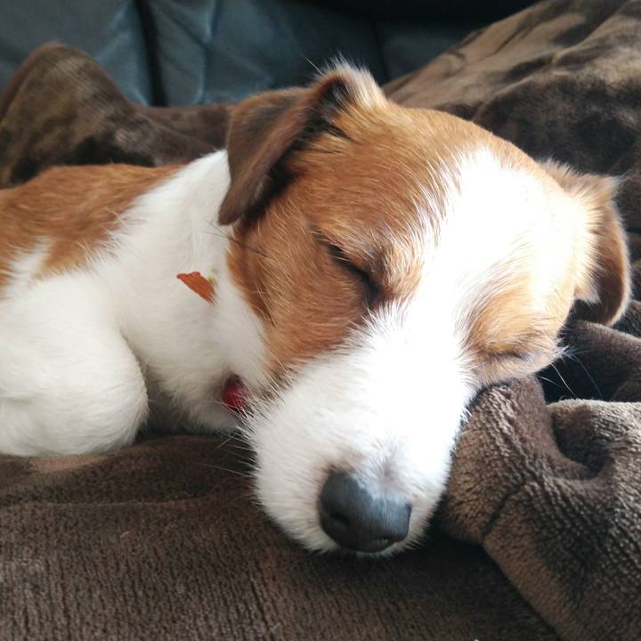 A6f63f4f 37ce 4a3e 9c52 957b369c41a7 1518317157765