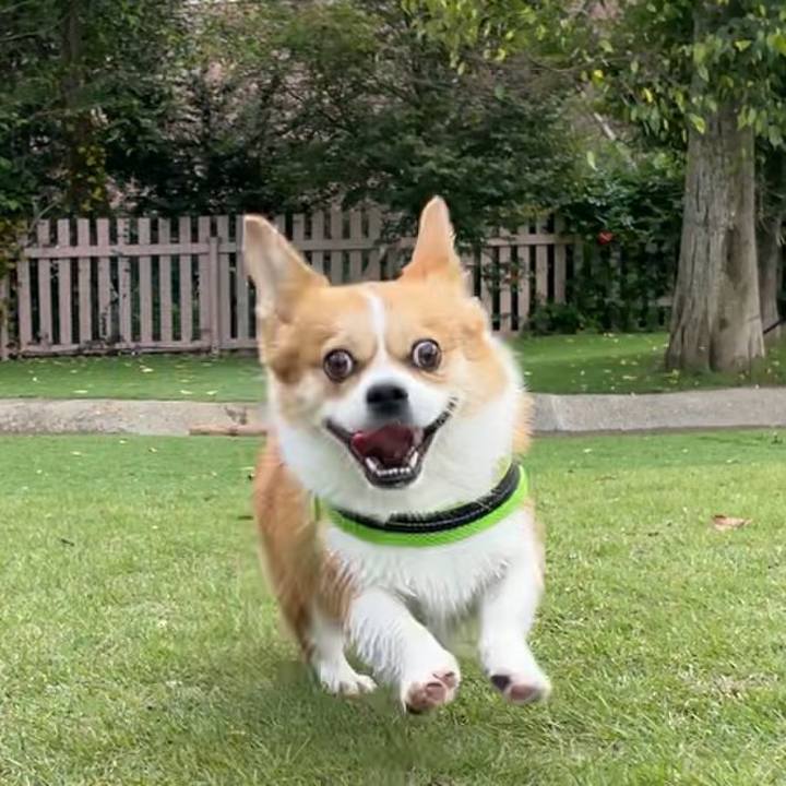 A6f64e5a 0392 4363 8477 bd020bef809f 1631796710984