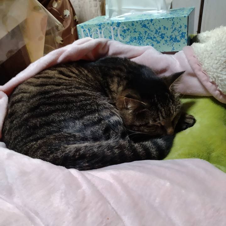 A6f69fe7 03ca 4536 9d93 9bfe98c51bcd 1676983602871