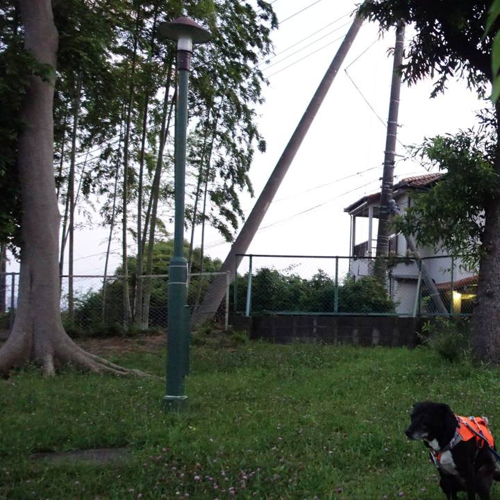 A6f6ad1a 06db 4fd2 b812 fd2cd77d04fd 1751195606655