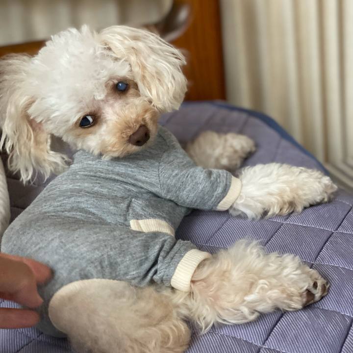 A6f6b640 f18b 4bf7 b411 e572a576245d 1628915679130