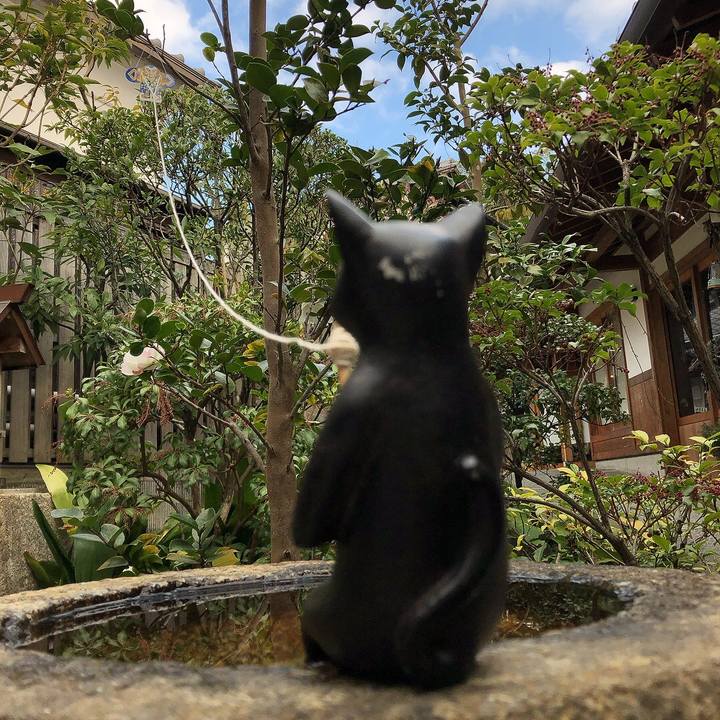 A6f6b83b d563 4510 aaa0 201a3a4902f8 1672538377779