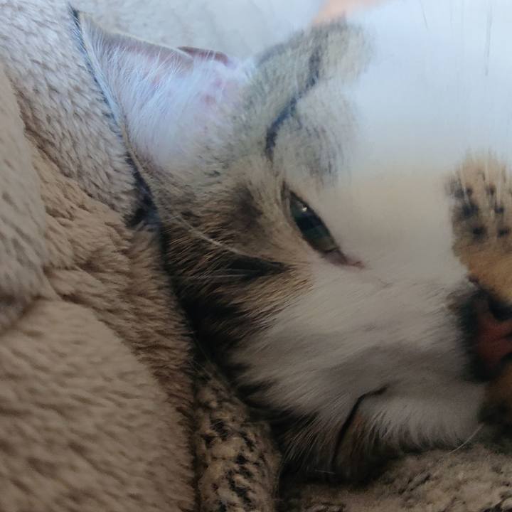 A6f71837 57cb 40a1 b369 7ab5a086c6c1 1586057308467