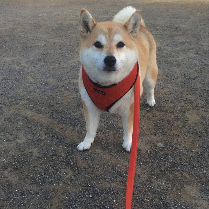 A6f7268d 1f61 4b3b 9959 59ca167a63fa 1588241605570