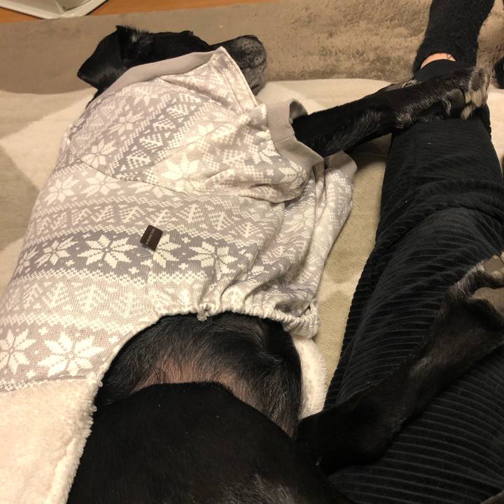 A6f74653 2bf4 415e 84fd 0fd57582f4b2 1580913034495