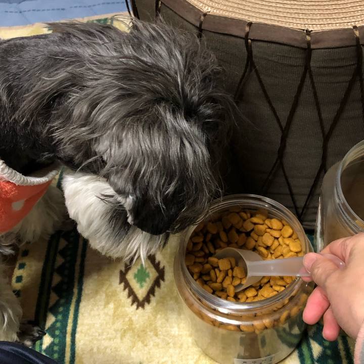 A6f75f43 460b 455e 9c31 ab28904a3eb0 1682343119534