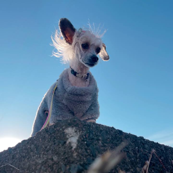 A6f76491 25fe 42c9 9029 f4bdeb8c098b 1769820912295