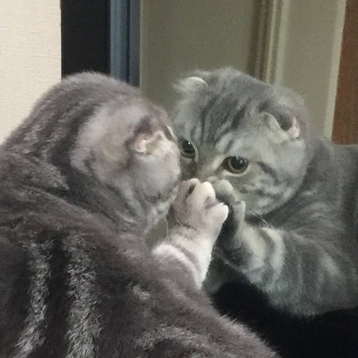 A6f76a78 0e44 440f b53a 03ffdf5ef931 1590111977574