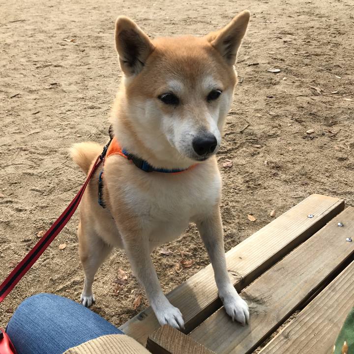 A6f7c99c adaa 424b b85f 8b669265e11c 1543826242692