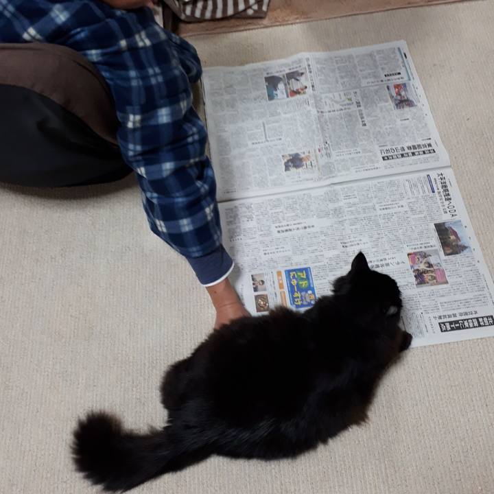 A6f7e326 8e99 4185 abe2 99140653d8cd 1518994998948