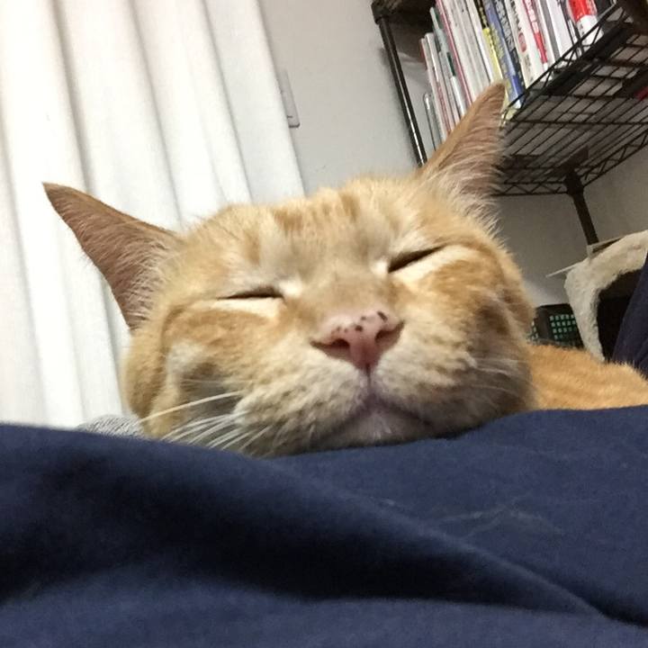 A6f7fb56 bf19 4077 b130 6476199c6fe2 1570331902783