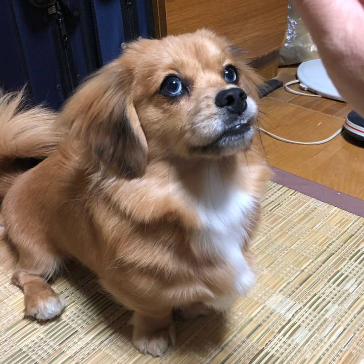 A6f836f7 fd9c 4ac0 bb34 3be5d0df5184 1510441607331