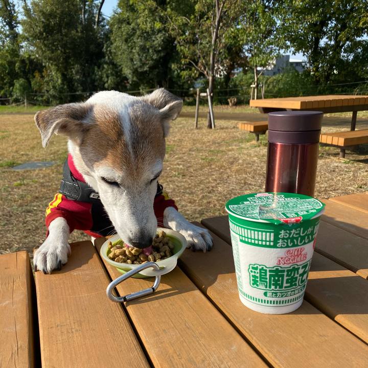 A6f843fb 6f29 4e28 8898 174c77291d3f 1604798227375