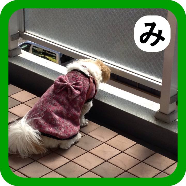 A6f894fc 53a2 46c3 9596 cda472268853 1515213890133