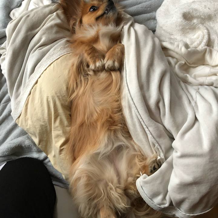 A6f8a519 682e 4c70 8517 ea0942337433 1555622438037