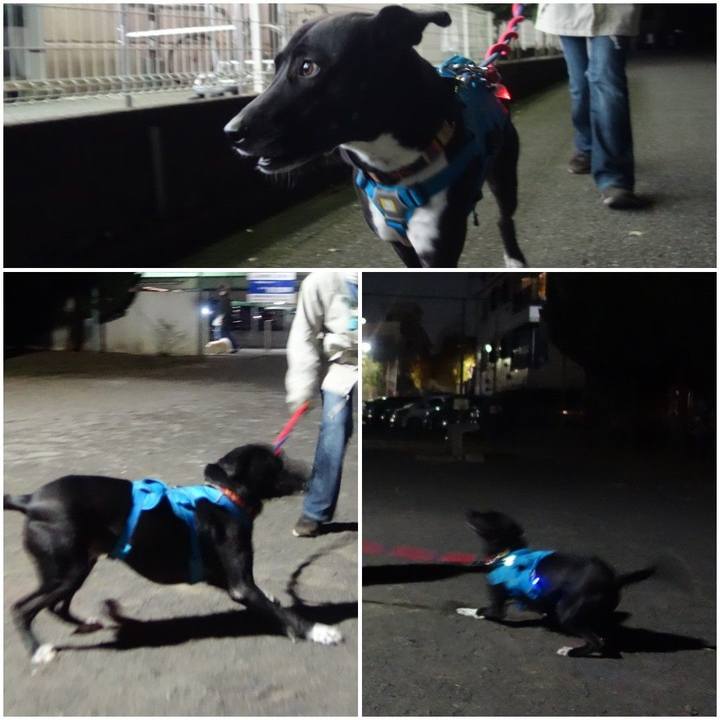 A6f94696 a28a 4b91 97a9 26c278ab1e97 1607507744730