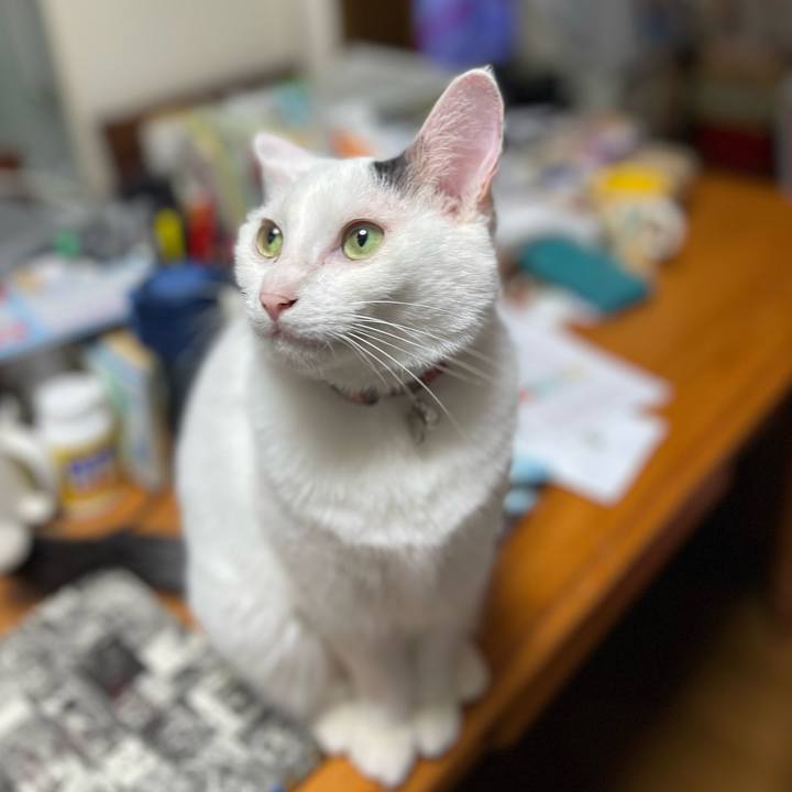 A6f95c38 b264 4c22 a72a eed31d01c0a5 1751842402146