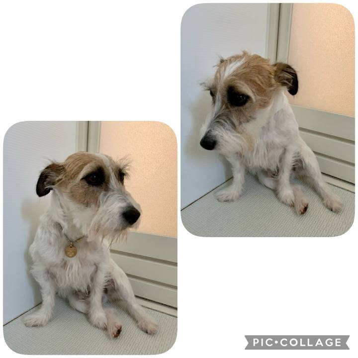 A6f9918b 86c9 41fc b0c4 811e7d9d62c3 1653805623073