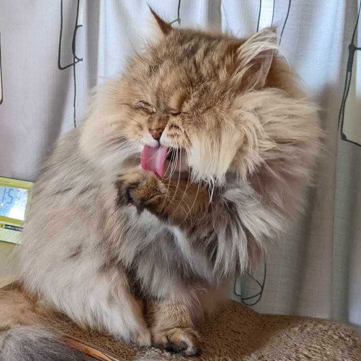 A6f9aa80 8af8 4503 852b 78261e96b559 1641176067468