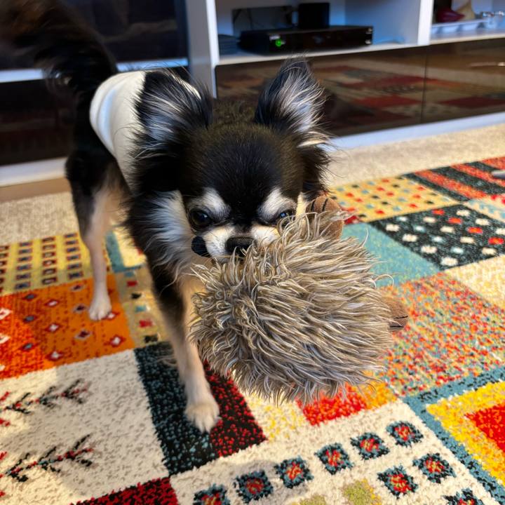 A6f9c035 3148 4f42 a6ac 8150286d3d4a 1730653296620