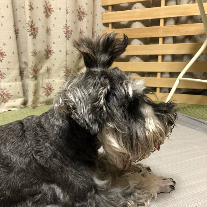 A6f9c7dd 0d01 4850 833d b42759c3c478 1565264665932